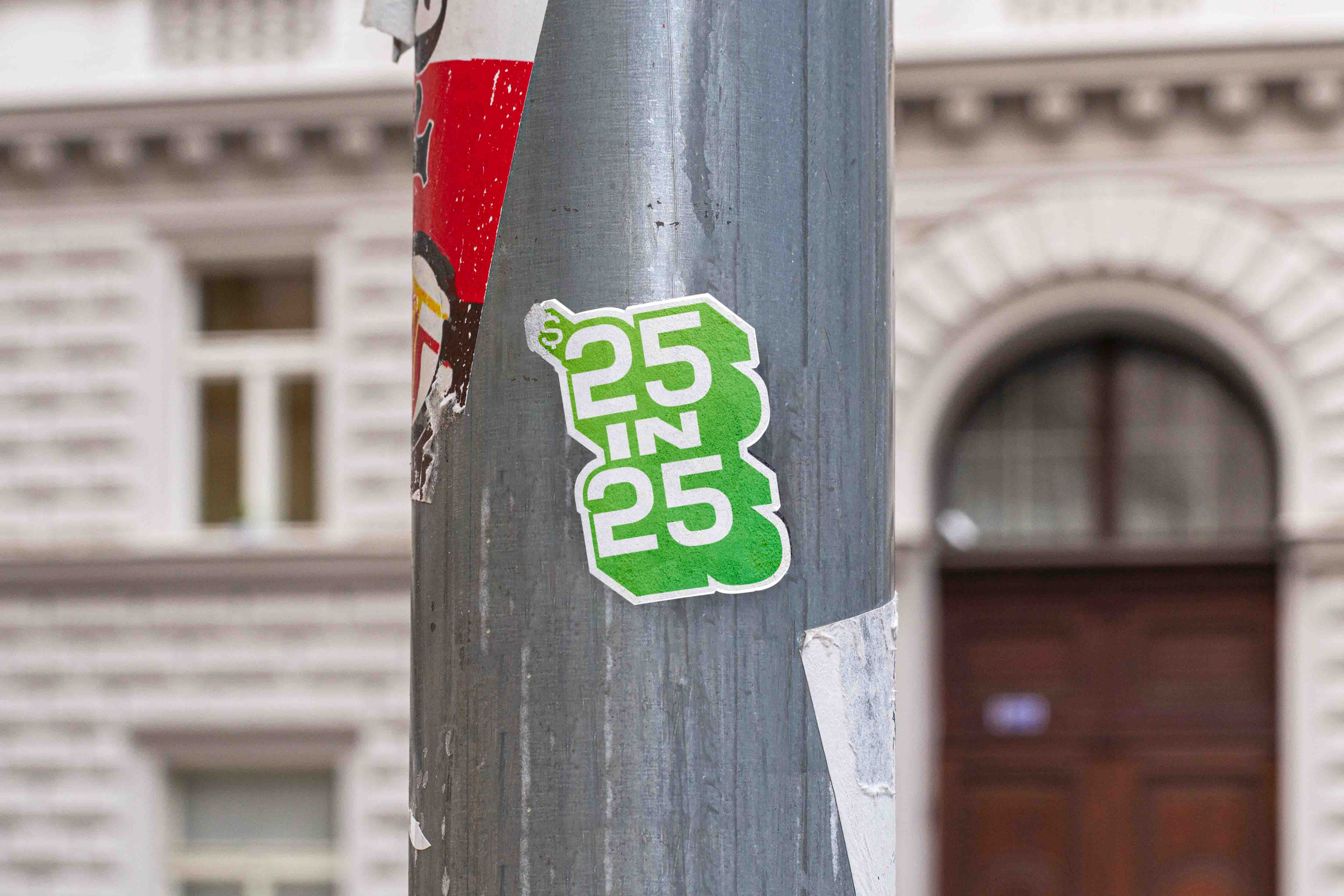 $25 in 25 Campaign, Project 2